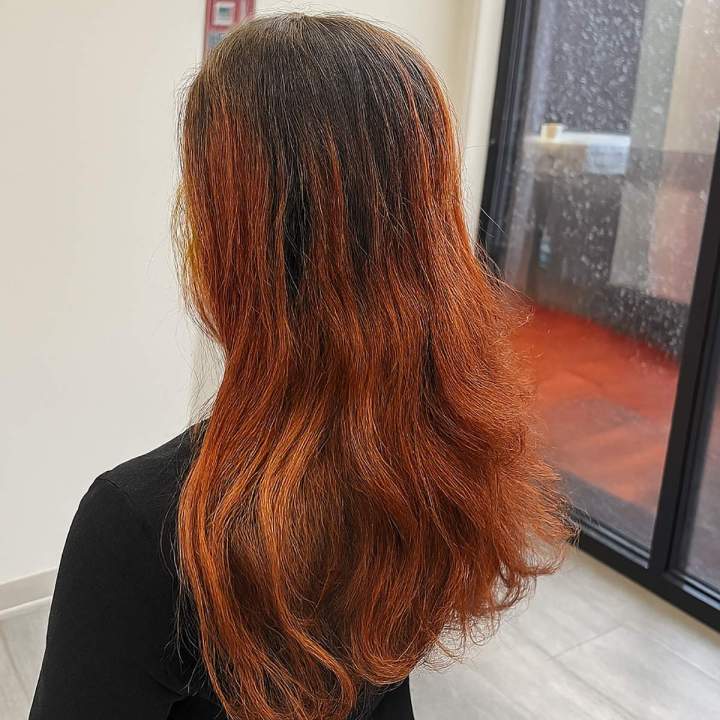 Hampton Park Dye Correction Expert