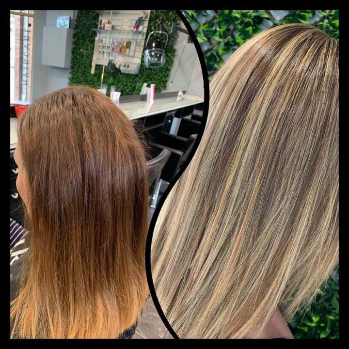 Hampton Park Blonde Coloring Specialist